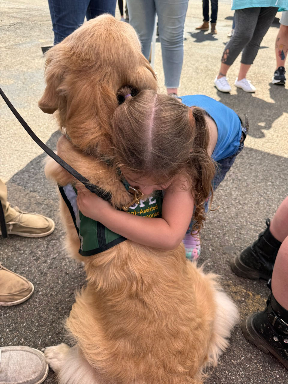 A young girl hugs a Golden Retriever wearing a HOPE Animal-Assisted Crisis Response vest, surrounded by people during a public event, capturing a tender moment of comfort and connection.