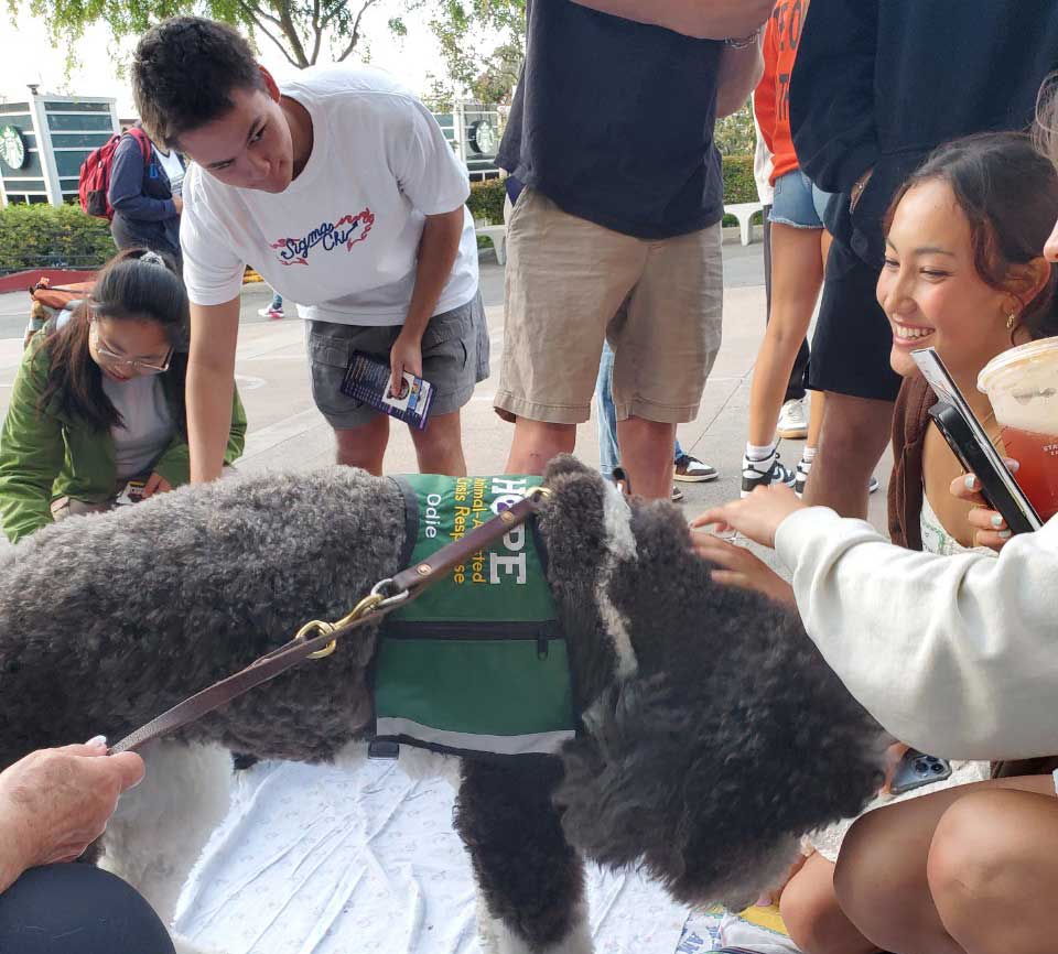 People gathered outdoors smiling and petting a curly-haired HOPE therapy dog wearing a green vest, with drinks and backpacks nearby, conveying a sense of comfort, connection, and community.