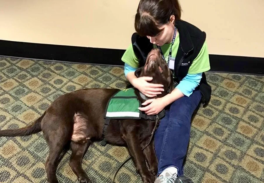 A HOPE Animal-Assisted Crisis Response handler comforts a brown dog indoors.
